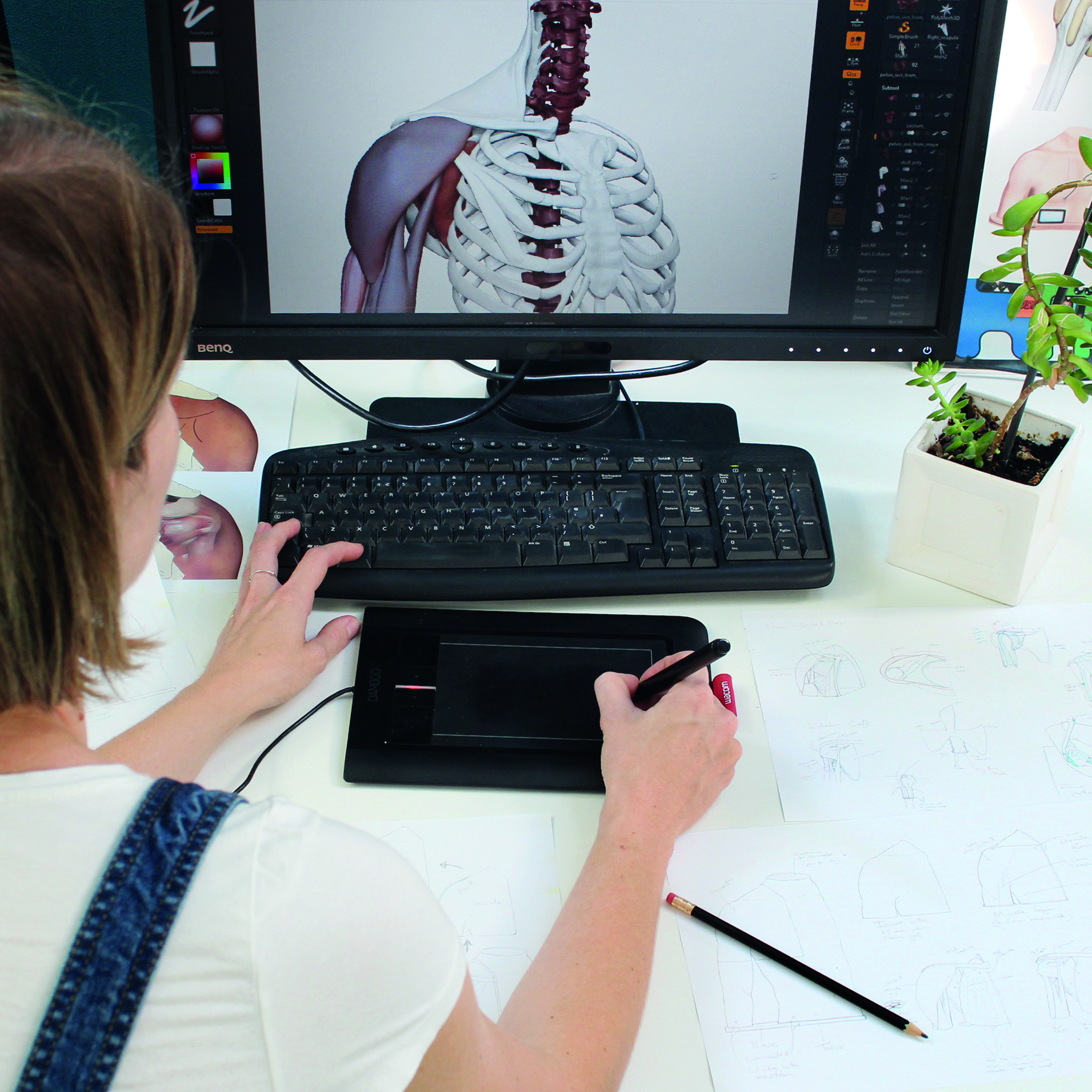 Limbs & Things US | Medical Simulation Products | Limbs & Things UK